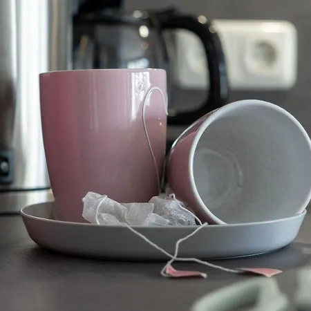 Vier-jahreszeiten-haus-iii-wohnung-41 *